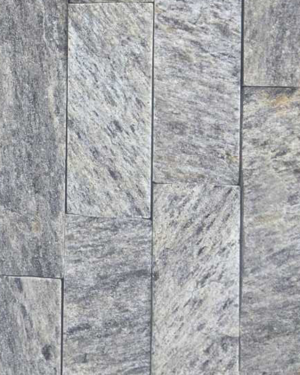 Štanglica - Siva tigrasta