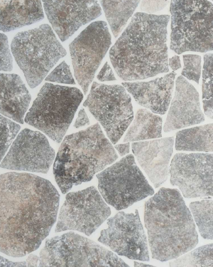 Travertin Silver  tumbani