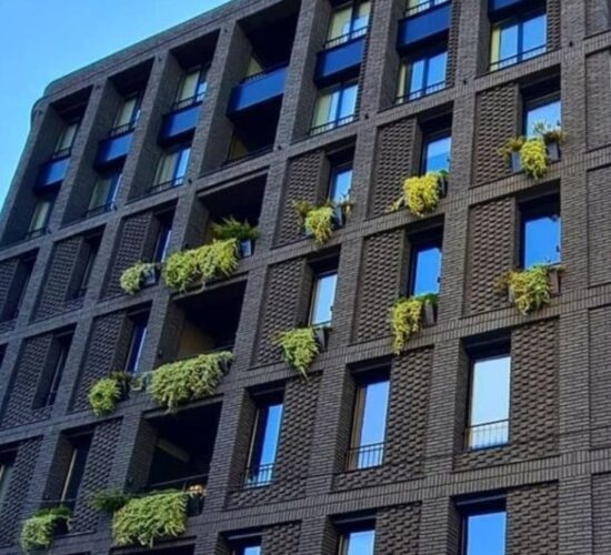 Prirdoni kamen Beograd - Mimaros Stone